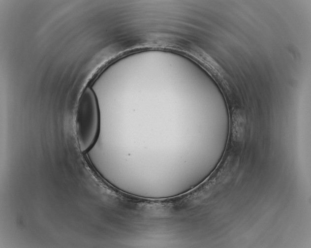 X0000113120896200909181646