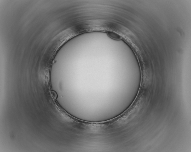 X0000113120897200909181646