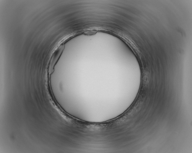 X0000113120898200909181646