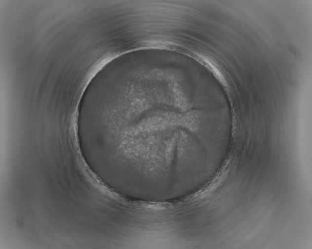 X0000113120899200909181646