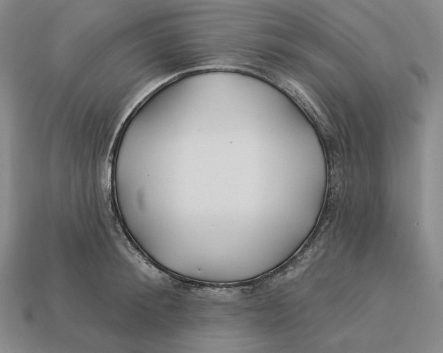 X0000113120900200909181646