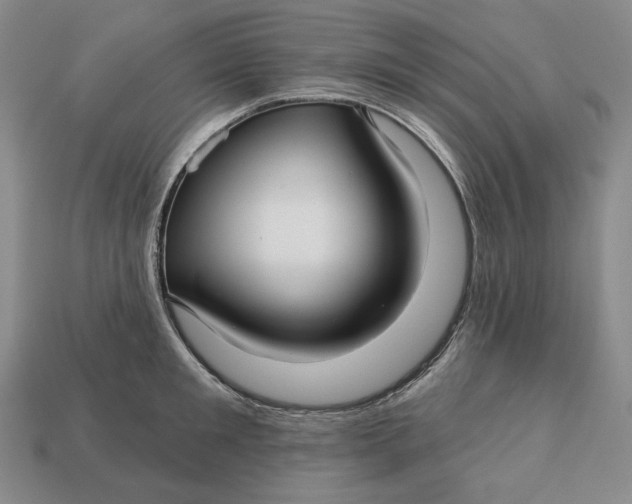 X0000113120901200909181646