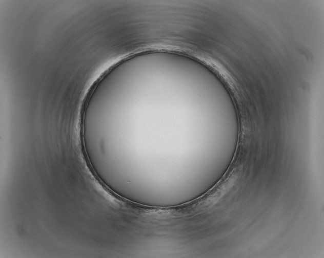 X0000113120902200909181646