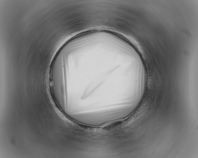 X0000113120903200909181646