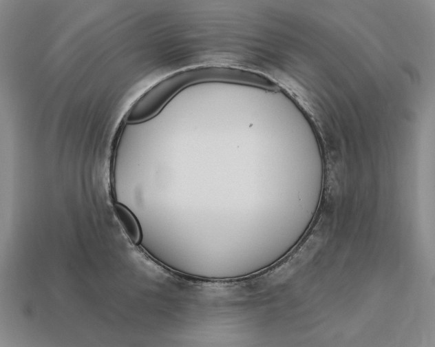 X0000113120904200909181646