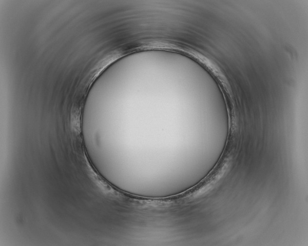 X0000113120905200909181646