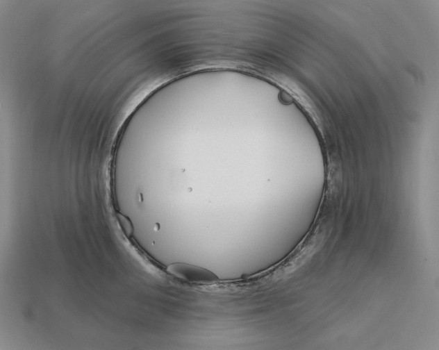 X0000113120906200909181646