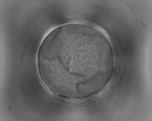 X0000113120907200909181646