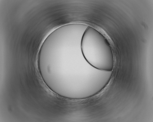 X0000113120908200909181646