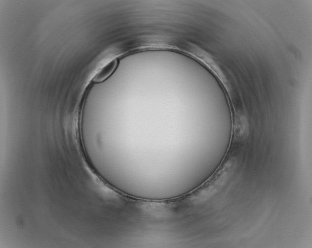 X0000113120909200909181646