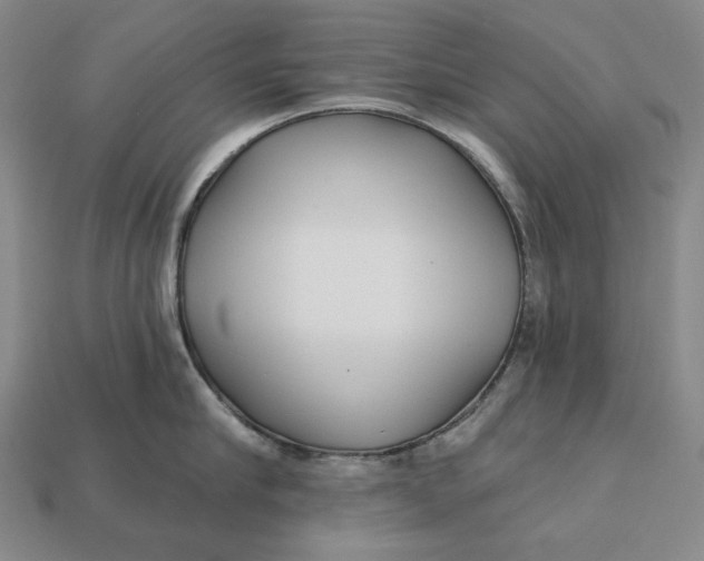 X0000113120910200909181646