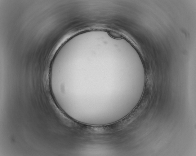 X0000113120911200909181646