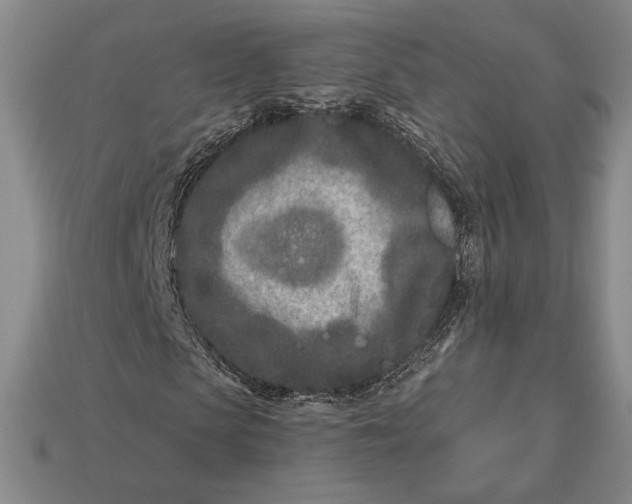 X0000113120913200909181645