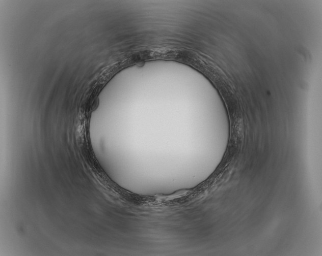 X0000113120914200909181645