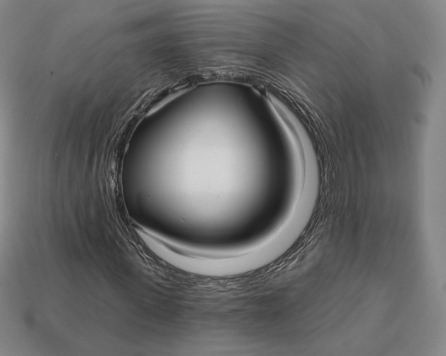 X0000113120915200909181645