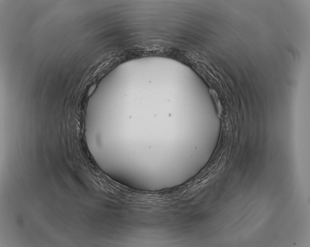 X0000113120916200909181645