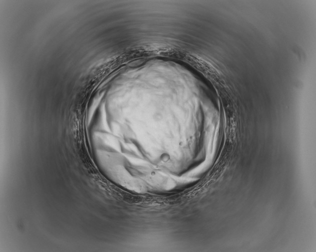 X0000113120917200909181645