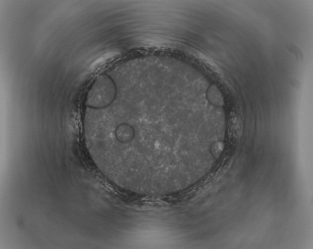 X0000113120918200909181645