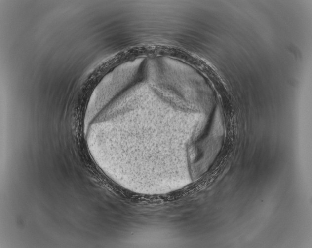 X0000113120919200909181645