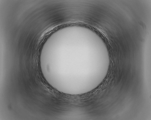 X0000113120920200909181645