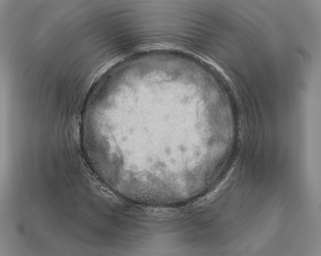 X0000113120921200909181645