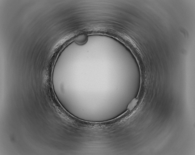 X0000113120922200909181645