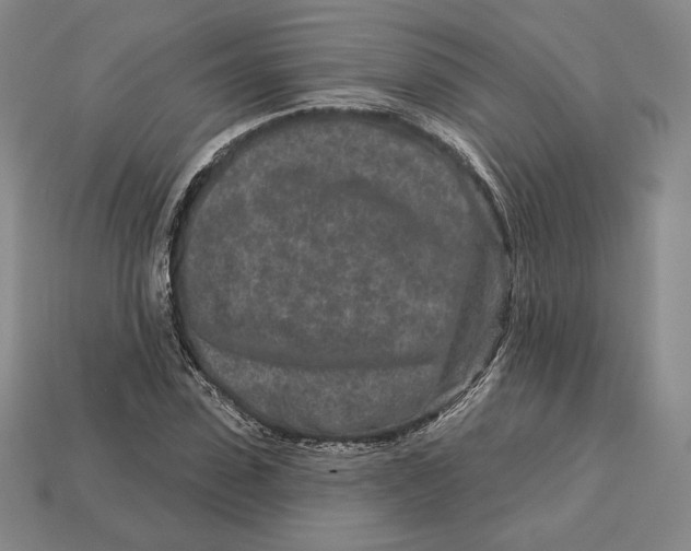 X0000113120923200909181645