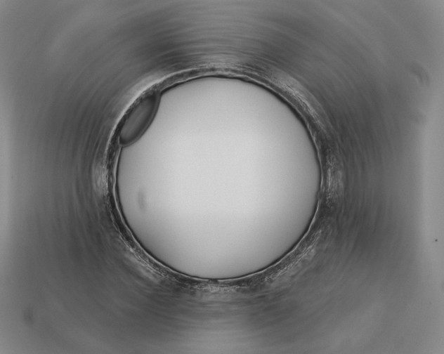 X0000113120924200909181645