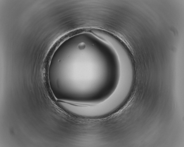 X0000113120926200909181645