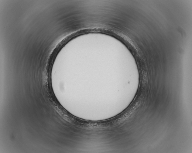 X0000113120927200909181645