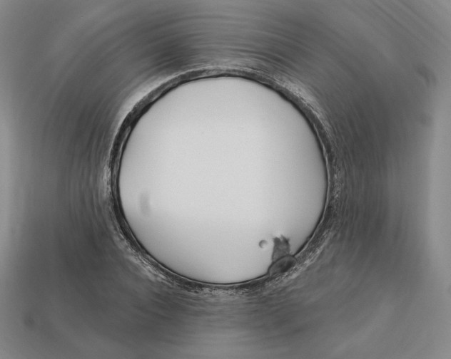 X0000113120928200909181645