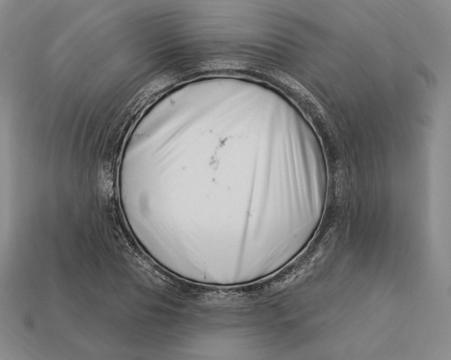 X0000113120929200909181645