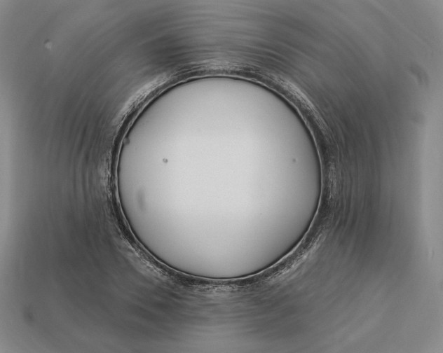 X0000113120930200909181646