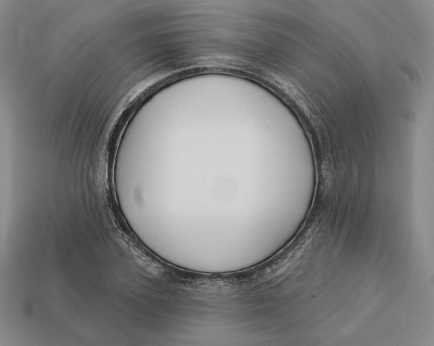 X0000113120931200909181646