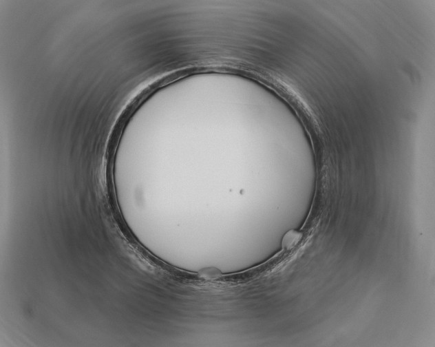 X0000113120932200909181646