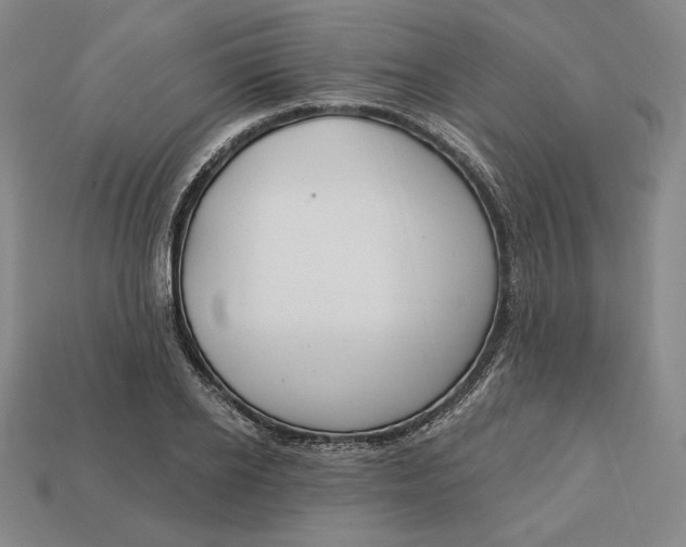 X0000113120934200909181646