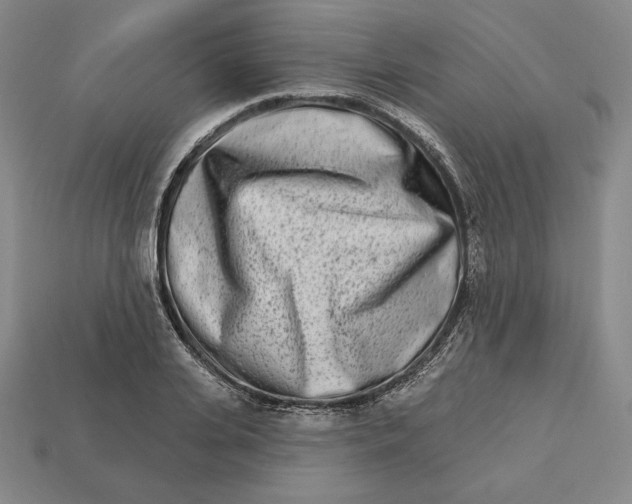 X0000113120935200909181646