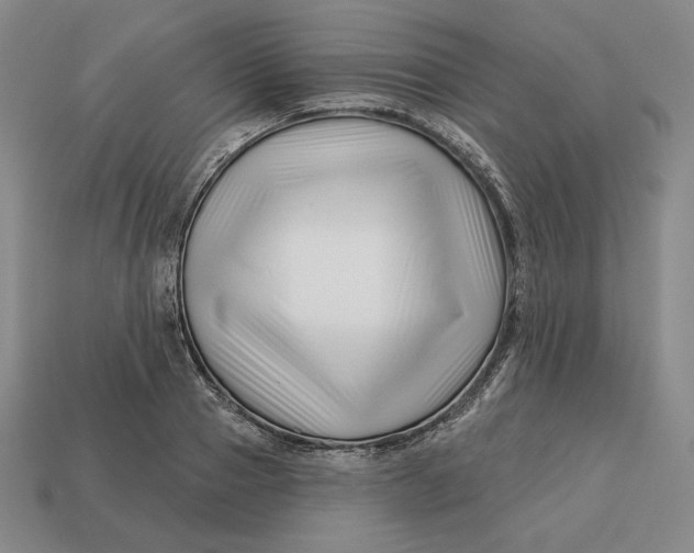 X0000113120937200909181646