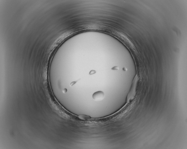 X0000113120938200909181646