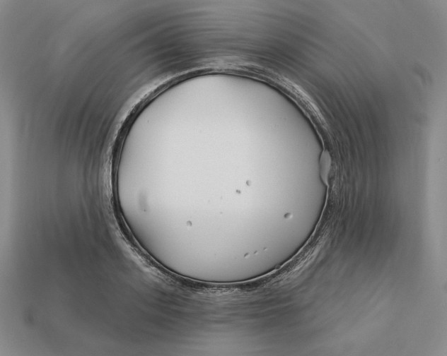 X0000113120939200909181646