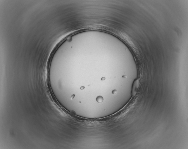 X0000113120940200909181646