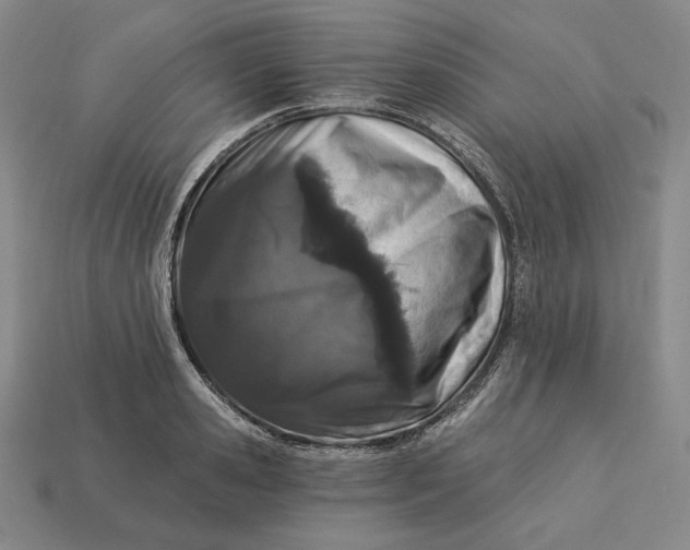 X0000113120941200909181646