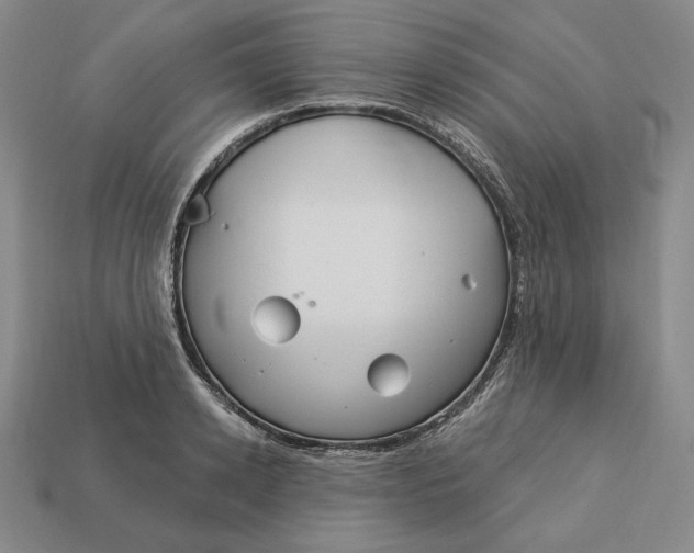 X0000113120942200909181646