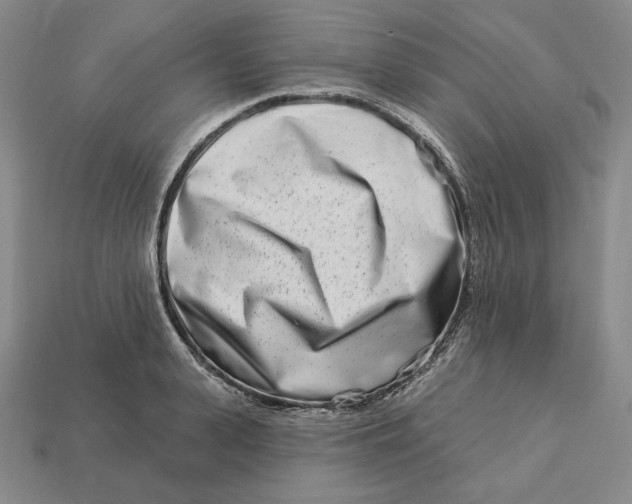 X0000113120943200909181646