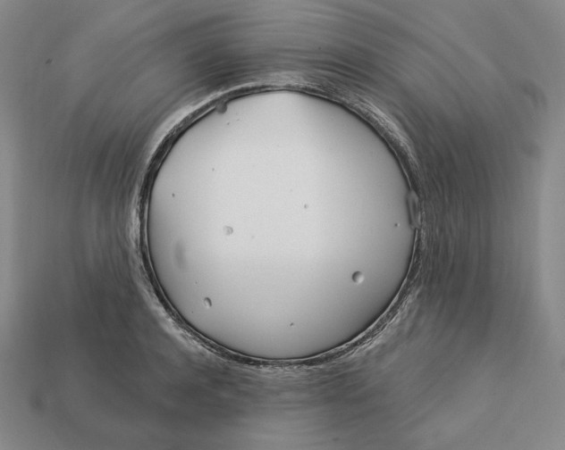 X0000113120944200909181646