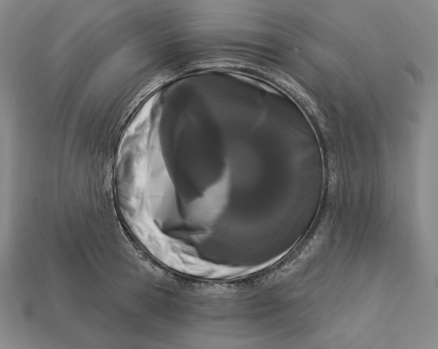 X0000113120945200909181646