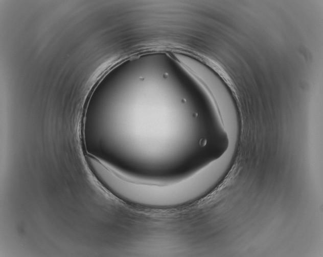 X0000113120946200909181646