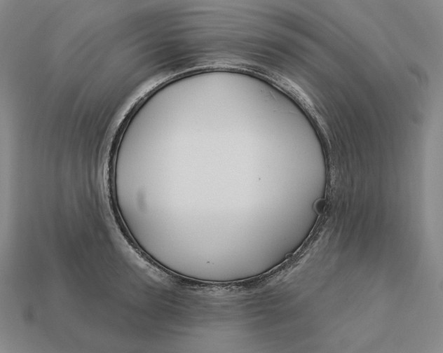 X0000113120947200909181646