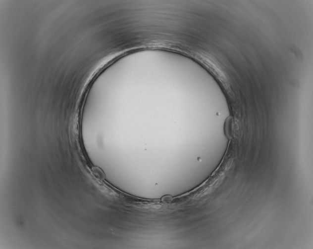 X0000113120948200909181646