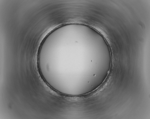 X0000113120949200909181646